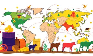 Commodities Globais: O Que Você Precisa Saber